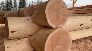 Журнал бревенчатого дома: учебное пособие «За кулисами». #bclogschool #loghouse #logwork #logtalkwithdave #cabin