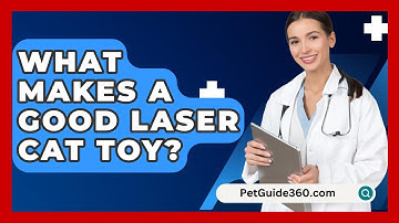 What Makes A Good Laser Cat Toy? - PetGuide360.com