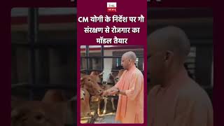 CM योगी के निर्देश पर गौ संरक्षण से रोजगार का मॉडल तैयार #yogi #up #GauSanrakshan #empowerment #Job