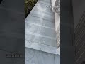 Glass Roof installation #homedecor #roofing #construction #ytshorts #trend