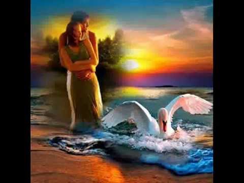 كلمة بحبك جنات إخراج اميره الاحلام 