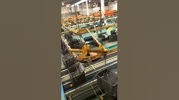Mandarin Orange Sorting/Grading machine
