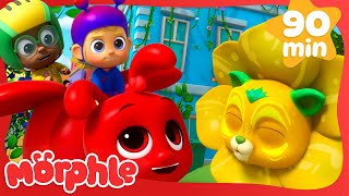 Flower Power! | Morphle | Cartoons for Kids