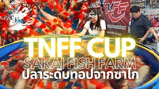แข่งเลี้ยงปลาระดับ Top จาก Sakai Fish Farm กิจกรรม TNFF CUP