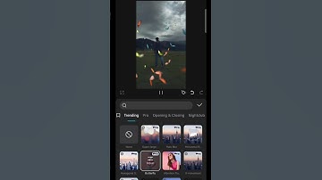 Capcut | Butterfly effect Tutorial#editing #capcut #tutorial