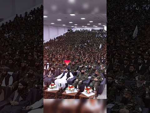 وزير الدفاع الأفغاني الملا محمد يعقوب مجاهد افغانستان طالبان ملايعقوب