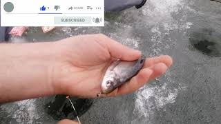 Зимняя рыбалка на КАРАСЯ Закрытие твердой воды Рыбалка в Запорожье 2021 Рыбалка Запорожье