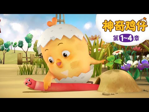 神奇鸡仔 1~4 | 30分 | 好習慣卡通動畫 | 卡通動畫 | Como Kids TV