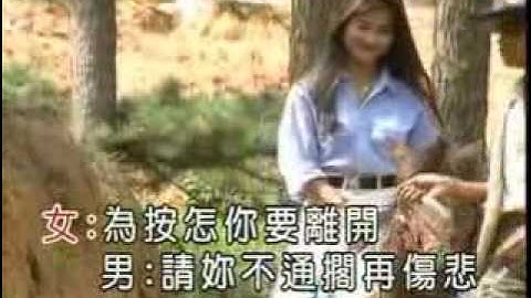 為按怎你要離開