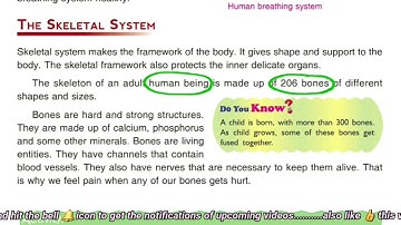 DAV class 5 Science chapter 1 My Body - skeleton system