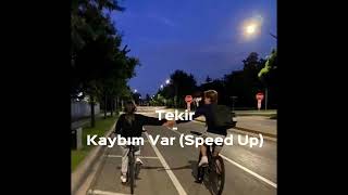 Tekir - Kaybım Var speed up Resimi