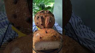 Cinnamon Raisins Sourdough Bread shorts viral food eat sourdoughbread