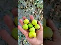 #আবু_ত্বহা_মুহাম্মদ_আদনান #sorts #sortsfeed #ytshorts #foryou #subscribe #minivlog #vairelsort #waz