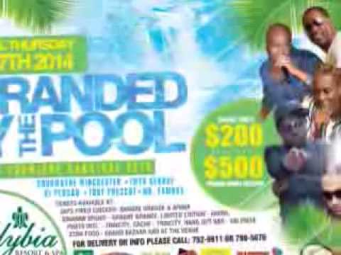 New Trinidad carnival fete Stranded by the pool 2014