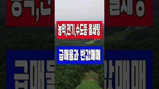 농막 전기 수도 정화조 욕실 창고 보일러 수도 올 완비 #산골땅 #토지매매 #산 #촌 #땅 #급매물 #반값매매 #촌땅 #경북땅 #시골 #시골땅