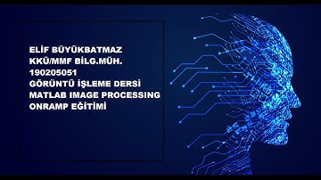 Elif Büyükbatmaz, Matlab Görüntü İşleme Onramp Modül 1: Giriş