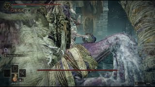 Elden Ring Dragonkin Soldier Cheese