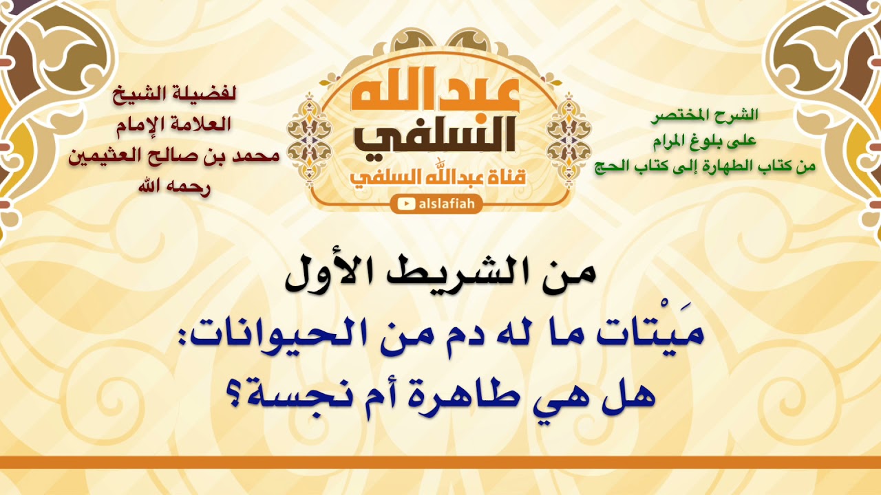 الشيخ ابن عثيمين : مَيْتات ما له دم من الحيوانات  هل هي طاهرة أم نجسة؟