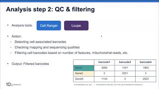 8. The steps to single cell analysis