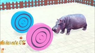 Don't Choose The Wrong Path Game With Gorilla Elephant T-rex Zebra Warthog - Animal Game