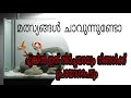 Fish death in aquarium|Reason|remedy|മത്സ്യങ്ങൾ ചത്തുപോവുന്നുണ്ടോ...|solution un malayalam