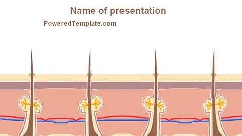 Skin PowerPoint Template by PoweredTemplate.com
