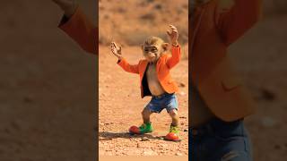 cut munky kitten dance #cartoon #animals #facts #funny #dogs #wildlife