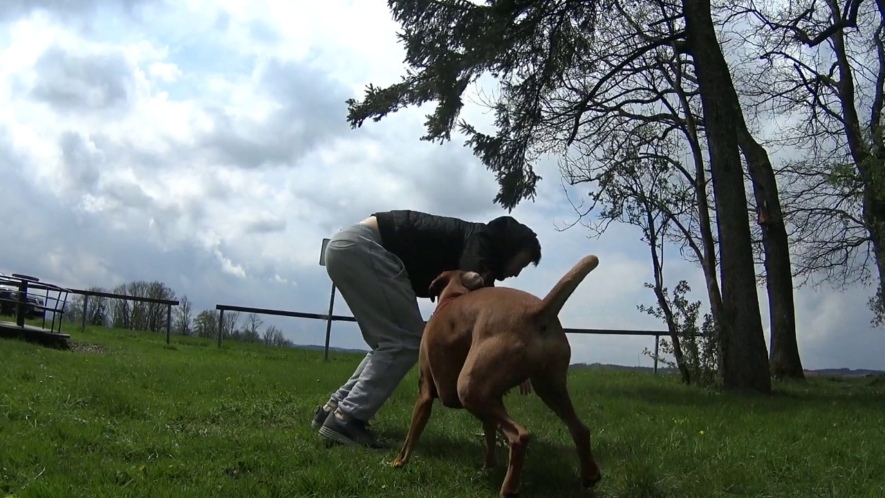 Ninja Warrior Austria Bewerbungsvideo