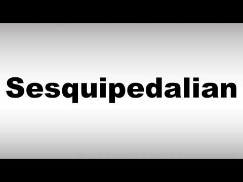 Video: ¿Qué significa definición de sesquipedaliano?