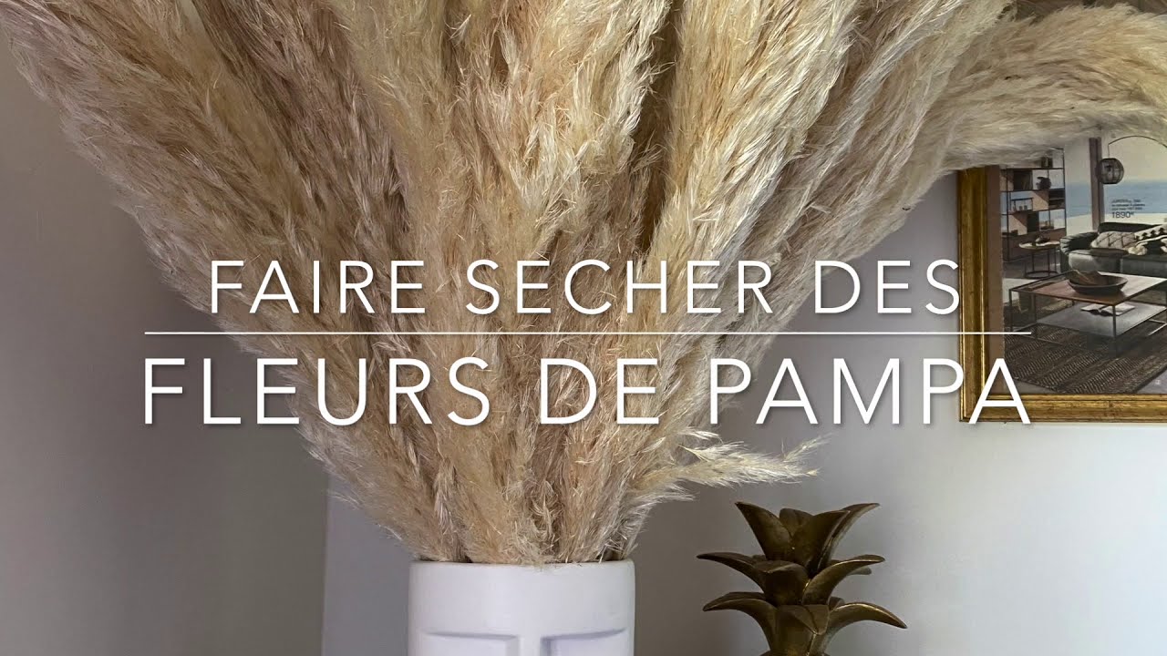 Faire sécher des fleurs de pampa en 5 étapes • Lmdeco Décoratrice