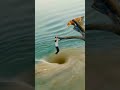 يارب العالمين صلي على طه الامين الفرقان يارب العالمين صلي على طه الامين الفرقان