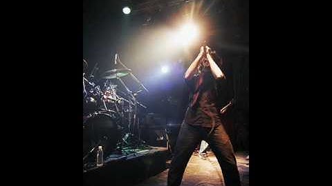 Seven Percent Mind Usage - Not Coming Back