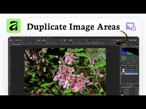 How To Use The Clone Brush In Affinity Photo