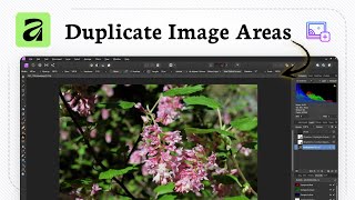 How To Use The Clone Brush In Affinity Photo screenshot 2