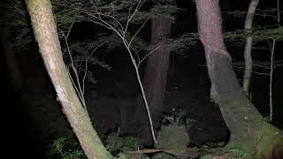樹海放送の配信のサムネイル画像