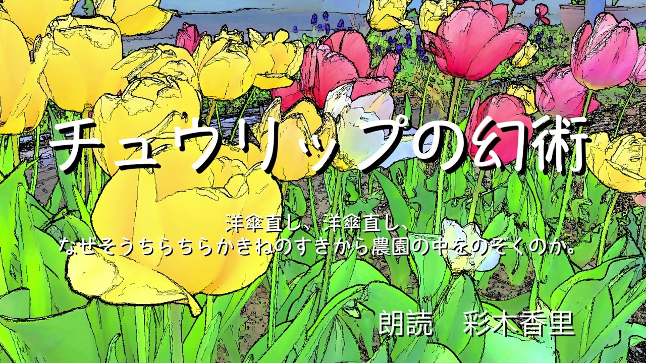チュウリップの幻術 | 日本の童話名作選 中古本・書籍 ブックオフ 宮沢