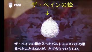 Mgs Se 3d ザ ペインの蜂が入ったバルトスズメバチ Youtube