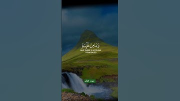 تلاوة تهز المشاعر #quran #قرآن #قران_كريم #foryou #viral