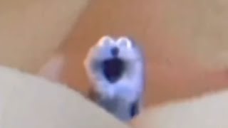 Screaming Blue Thing But With Different Meme Sounds Resimi