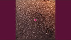 Prominences