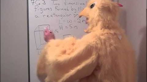 Two Dimensional Figures Formed by Slicing a Rectangular Prism