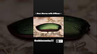 New Macros With AK Diffuser! 😃🤗🤓😏