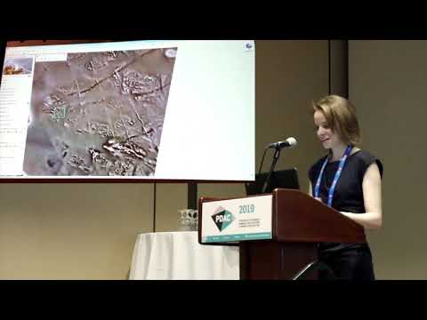 Greenland Day (PDAC 2019) – S1P6: Geological Data by Anna Vass, MMRL