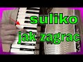 JAK ZAGRAC -SULIKO