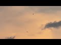 May 3rd 2026 1827 UFO/UAP I think it’s the same one that hovers. Go fast slow motion footage. 
