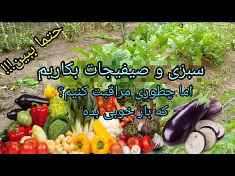 تصویری: اطلاعات در مورد زمان کاشت باغ سبزیجات