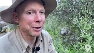 Get lost! Survival class teaches Arizonans how to thrive in the Sonoran Desert How To Survive The Sonoran Desert