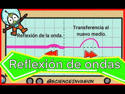 Reflexión de ondas en una cuerda.