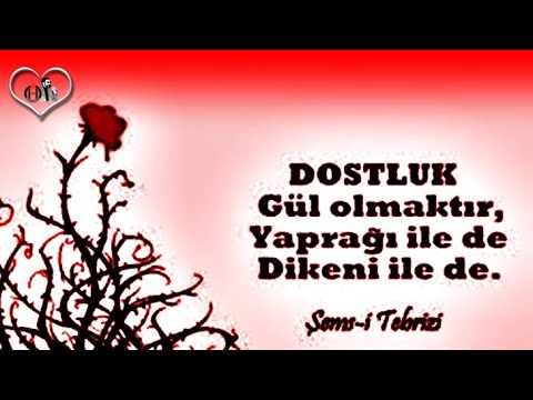 Dostluk gül olmaktır, Yaprağı ile de, dikeni ile de 🌹 Dostluk Sözleri 🌹 Güzel Sözler 🌹 Etkili Sözler