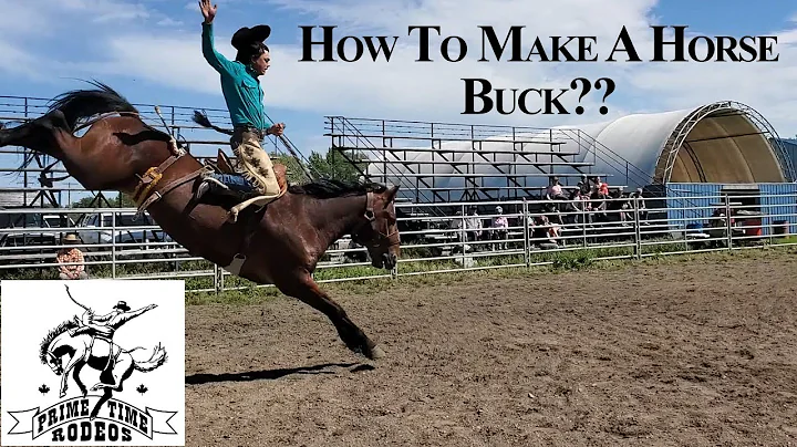 How to make a Horse Buck? Developing a Young Bucking Horse - #507 Eruption | Summer 2020